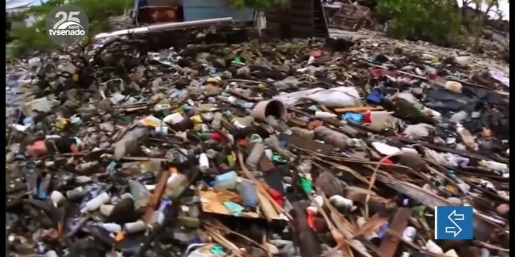 Vídeo: Debate sobre descarte de plástico nos oceanos pode resultar em projetos de lei