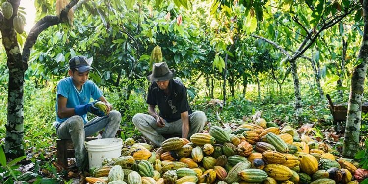 CMA inicia na segunda debates para promoção da Campanha Junho Verde