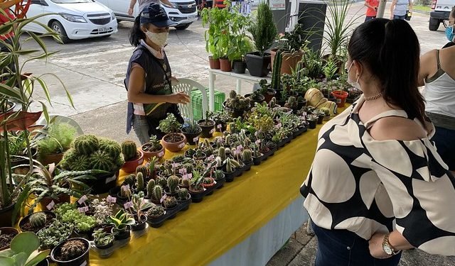 Prefeitura abre espaço para feira de produtos regionais no CSU do Parque 10