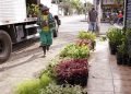 Prefeitura leva ações do ‘Junho Verde’ ao bairro Cidade Nova