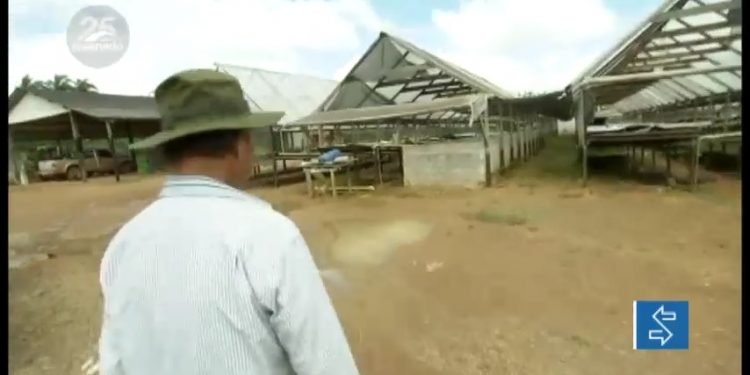 Vídeo: Especialistas apontam oportunidade para investimentos em agricultura sustentável