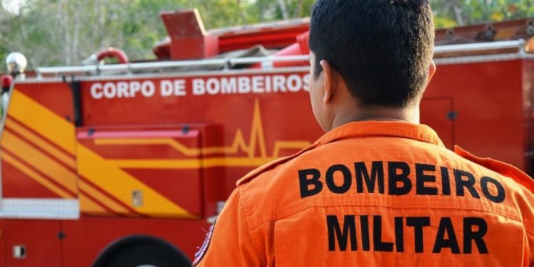 Cheia dos rios aumenta risco de ataque de animais peçonhentos, alerta Corpo de Bombeiros