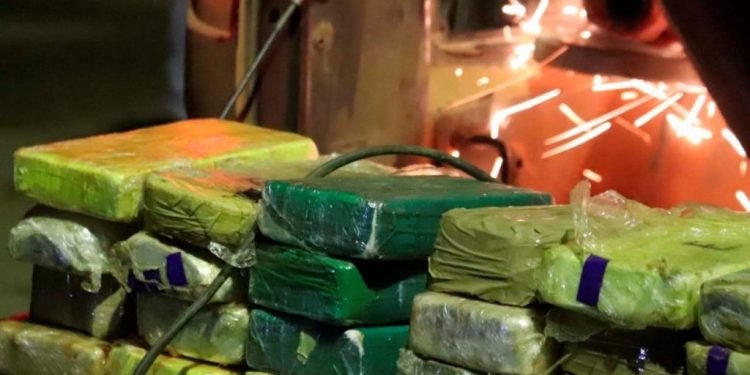 Em 15 dias, Polícia Militar apreendeu mais de meia tonelada de drogas