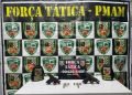 Polícia Militar detém dupla em posse de armas de fogo na zona sul