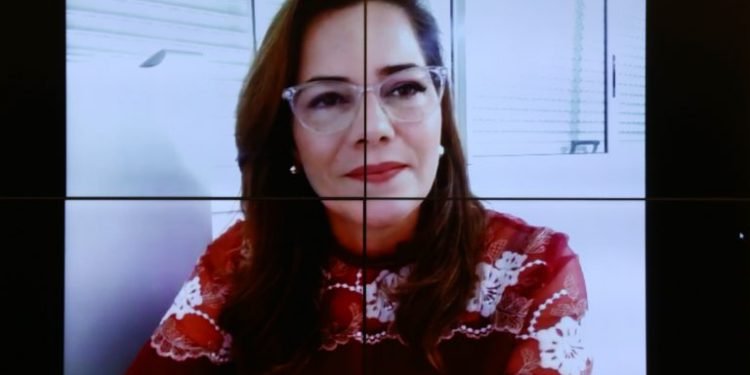 Comissão rejeita projeto sobre prova documental para liberação do porte de arma