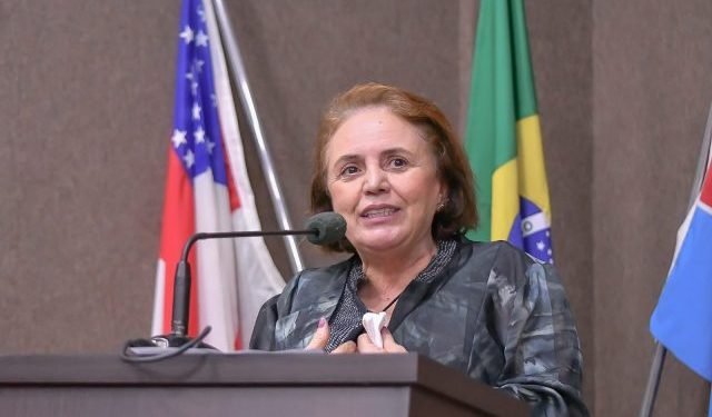 Deputada Therezinha Ruiz se destaca por atuação produtiva no 1º semestre de 2021