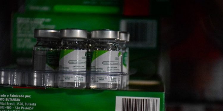 Prefeitura de Manaus terá mais de 400 postos de vacinação no ‘Dia D’ contra a influenza neste sábado, 10/7