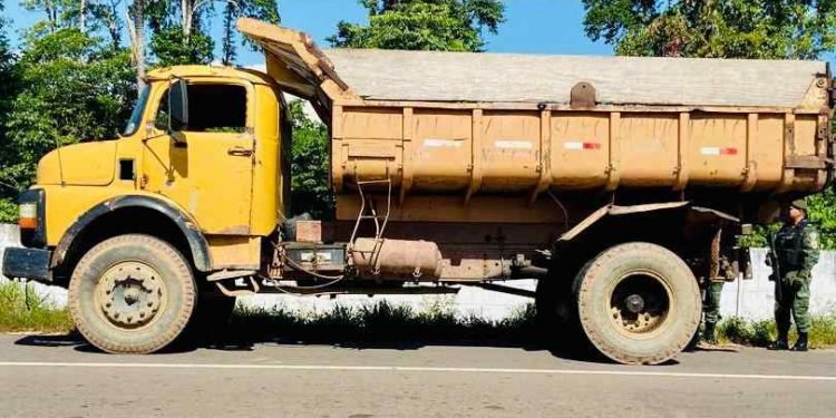 Polícia Militar apreende carregamento de madeira de origem ilegal na rodovia AM-070