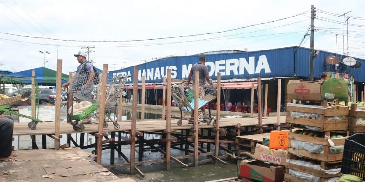 Madeira apreendida em operações policiais auxiliou famílias atingidas pela cheia no Amazonas