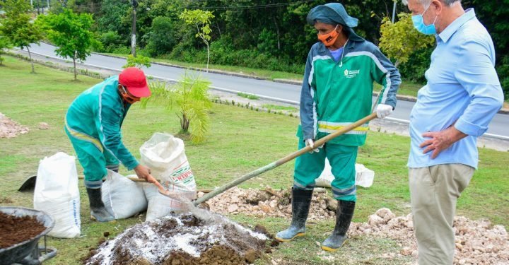 Prefeitura realiza 1° Encontro Arborizando Manaus nesta quarta-feira, 14/7