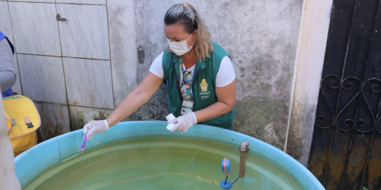 Prefeitura de Manaus combate mosquito Aedes aegypti em ação na zona Oeste