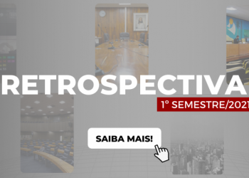 Confira os destaques da Câmara no primeiro semestre de 2021