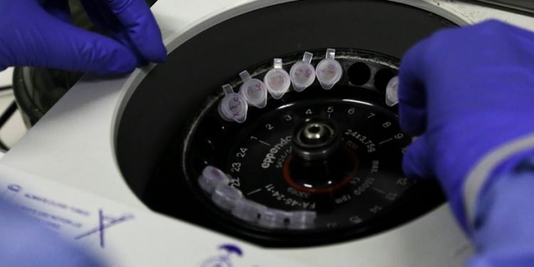 Lei permite que indústria veterinária produza vacina contra covid