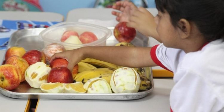 Comissão externa debate obesidade infantil no enfrentamento da Covid-19