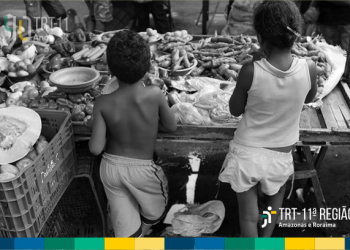 TRT-11 condena Município de Boa Vista a implementar ações de combate ao trabalho infantil