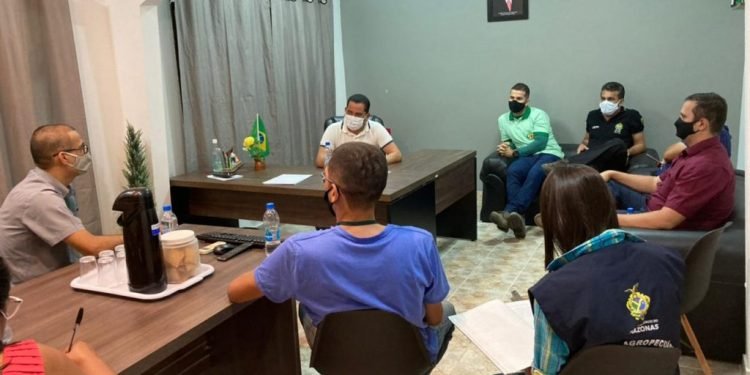 Governo do Estado, por meio da Adaf, atua no combate à monilíase do cacaueiro