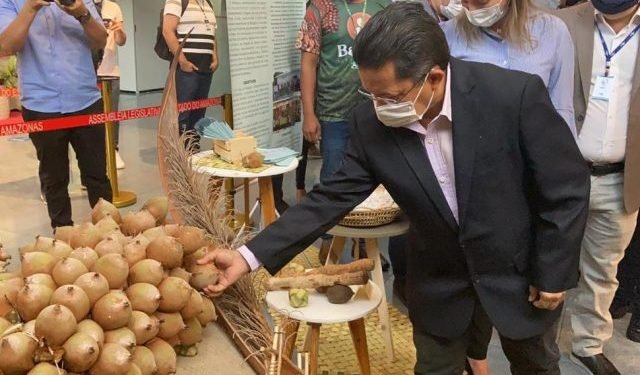 Potencialidades culturais e econômicas do babaçu são exibidas em 1° exposição do fruto, na Aleam