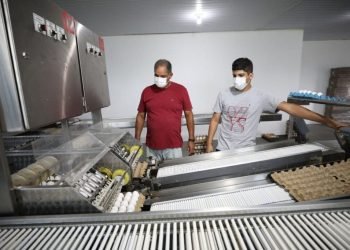 Reforma da AM-010: ‘Todo mundo sai ganhando’, diz granjeiro que destina 90% da produção para Manaus