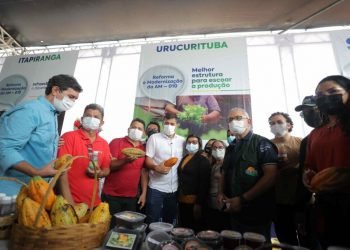 Reforma e modernização da AM-010 beneficia diretamente atividades de sete municípios do interior