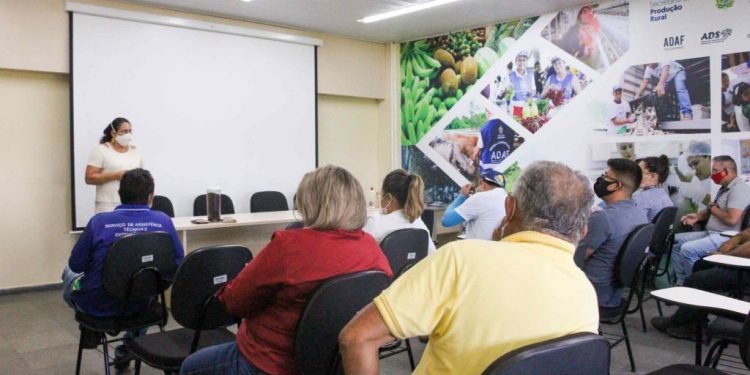 Governo do Estado investe na cadeia produtiva do cacau e inicia capacitação de técnicos para fortalecer o setor