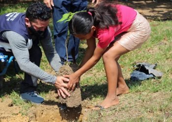Projeto de plantio de Amom chega à zona Rural e anuncia criação de aplicativo