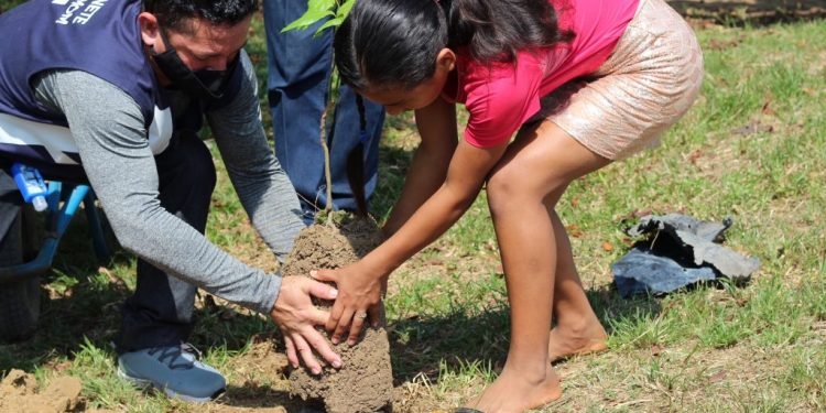 Projeto de plantio de Amom chega à zona Rural e anuncia criação de aplicativo
