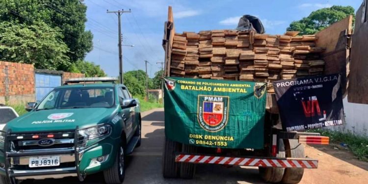 PMAM apreende meia tonelada de pescado e mais de 100 metros cúbicos de madeira na Região Metropolitana
