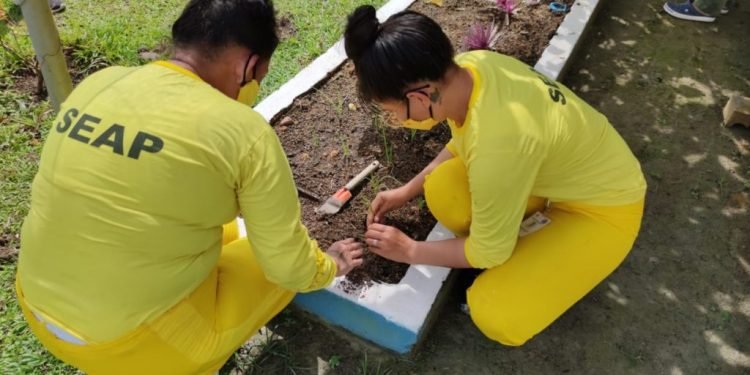 Internas dos regimes provisório e fechado passam a integrar unidade única, o Centro de Detenção Feminino