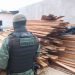 Batalhão Ambiental apreende cerca de 70 metros cúbicos de madeira ilegal no bairro Nova Cidade