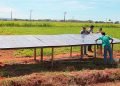 Comissão de Agricultura avalia exploração de energia eólica e solar em assentamento