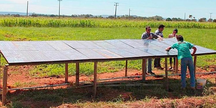 Comissão de Agricultura avalia exploração de energia eólica e solar em assentamento