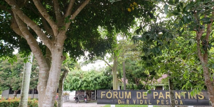 Em Parintins, portaria conjunta do Judiciário e do MPE disciplina participação de crianças e adolescentes em lives e outros eventos transmitidos por plataformas digitais