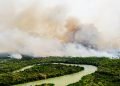 Comissão externa debate impactos de incêndios florestais na oferta de água e na agricultura