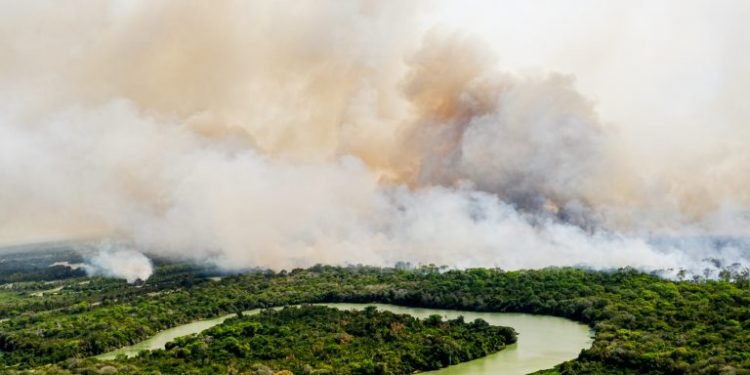 Comissão externa debate impactos de incêndios florestais na oferta de água