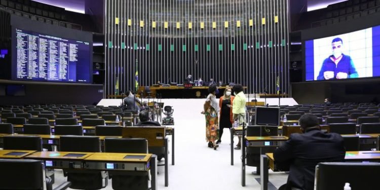 Aprovada urgência para projeto que proíbe tatuagens com fins estéticos em animais