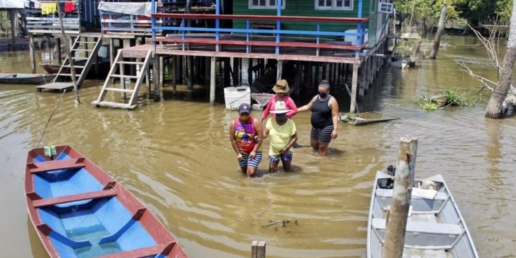 Comitê Estadual discute metodologia para programa Garantia Safra no Amazonas