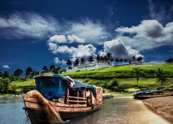 Dia da Amazônia é celebrado pela Aleam com medidas de proteção ao meio ambiente