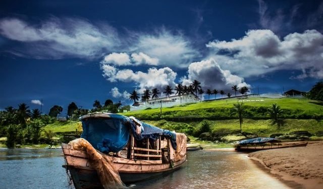 Dia da Amazônia é celebrado pela Aleam com medidas de proteção ao meio ambiente