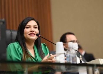 Deputada Joana Darc propõe linha de crédito da Afeam para médicos veterinários