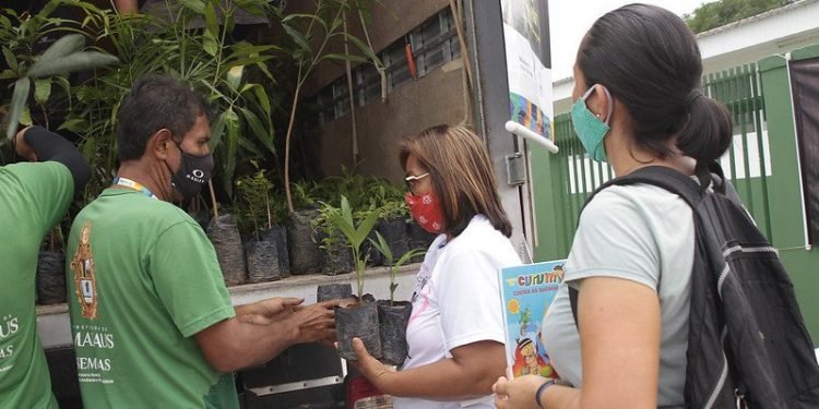 Prefeitura inicia mês de setembro com doação de mais de 800 mudas de plantas em ação do Manaus Verde