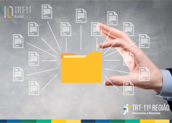 Tribunal Pleno institui o Programa de Gestão Documental e da Memória do TRT da 11ª Região