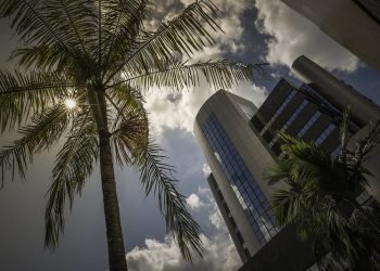 TJAM divulga horário do plantão judicial para o período da Semana da Pátria