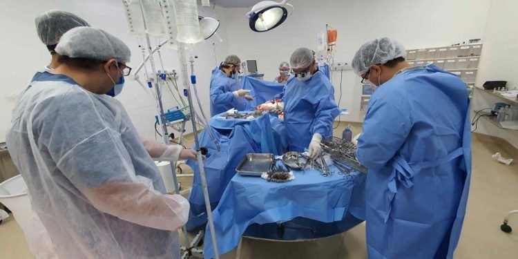 Setembro Verde: SES-AM incentiva doação de órgãos e tecidos