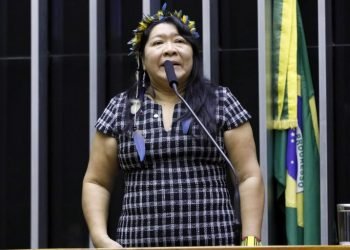 Comissão debate mudança nos limites do Parque Nacional Mapinguari