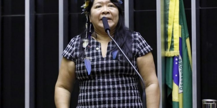 Comissão debate mudança nos limites do Parque Nacional Mapinguari