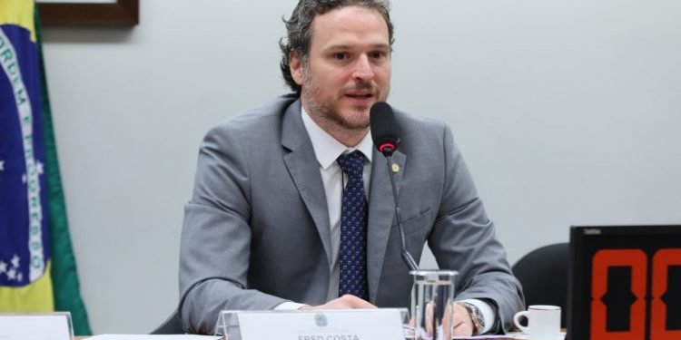 Eutanásia em cães com leishmaniose não diminui a doença entre humanos, dizem especialistas