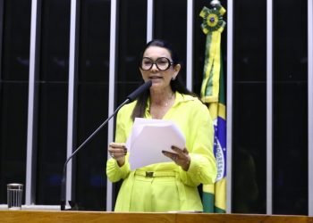 Novo código vai reduzir questionamentos judiciais sobre eleições, diz relatora
