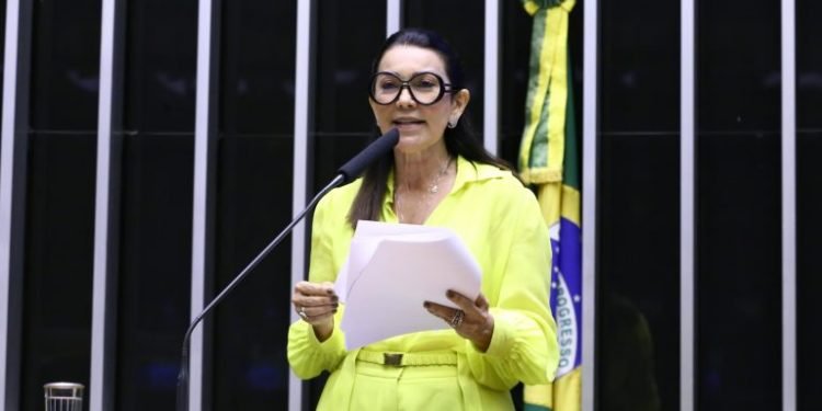 Novo código vai reduzir questionamentos judiciais sobre eleições, diz relatora