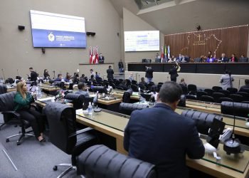 Aleam repercute instalação de medidores aéreos de energia, soltura do prefeito Simão Peixoto e aprovação do PL que cria Delegacias Especializadas da mulher