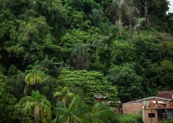 Vara do Meio Ambiente realiza na segunda-feira (17/04) audiência pública sobre área de ocupação no Residencial Vila Real